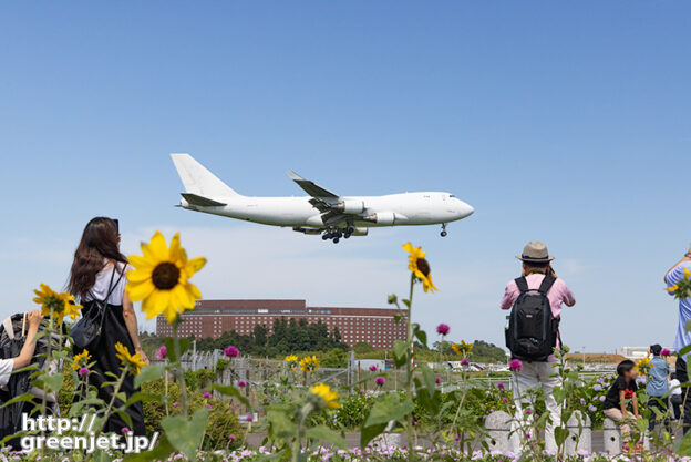 成田で飛行機～奇跡再現ならずのひまわり