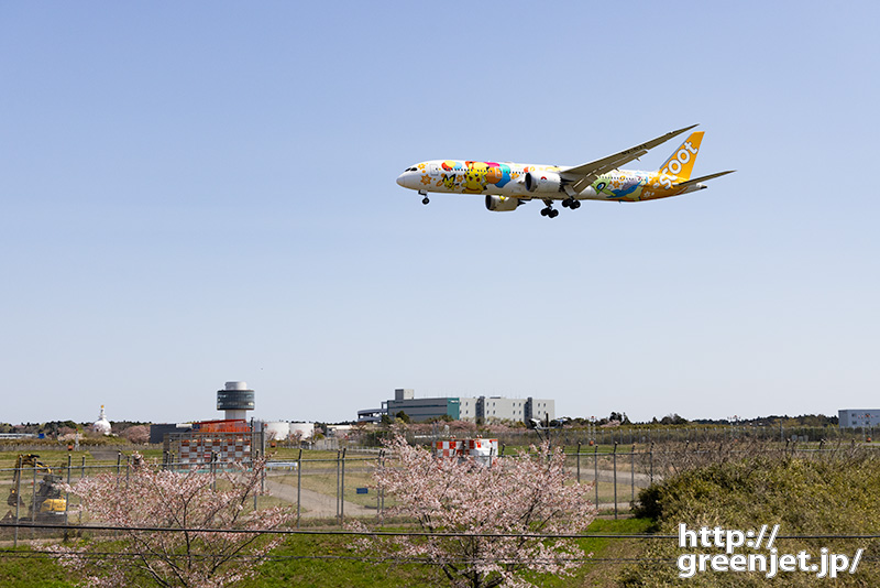 成田で飛行機～桜の終焉とポケモンジェット