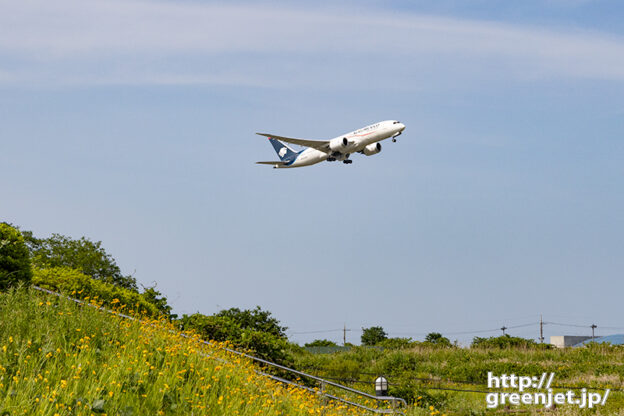 成田で飛行機～やっぱ低い！アエロメヒコ