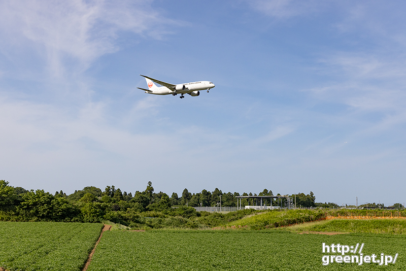 成田で飛行機～緑の絨毯の上をB787