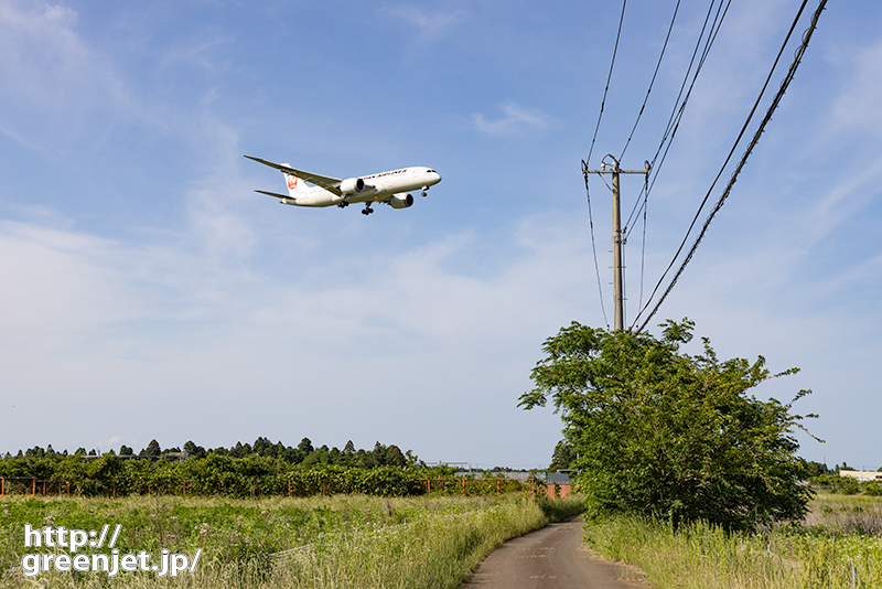 成田で飛行機～くねる細道とJAL B78