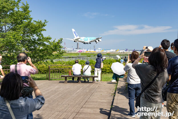 成田で飛行機～ウッドデッキでホヌを捉える