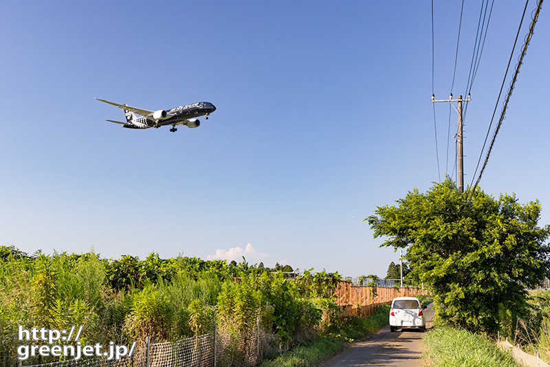 成田で飛行機～青空バックのオールブラックス