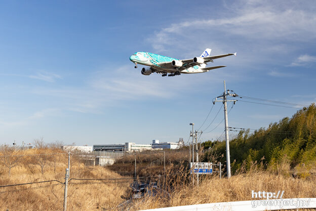 成田で飛行機～黄金色の大地とホヌ2号機