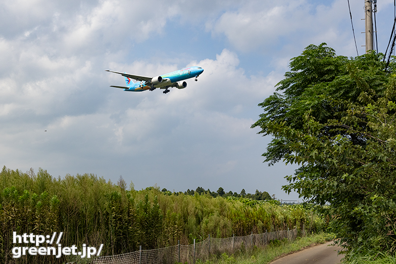 成田で飛行機～中国東方の青パンダ「CIIE」
