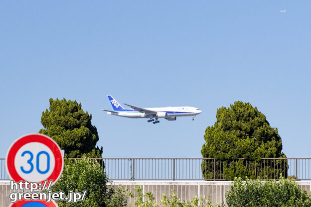 羽田で飛行機～木と木の間にB777