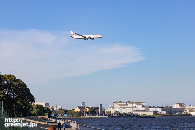 羽田で飛行機～ワンワールドのB787