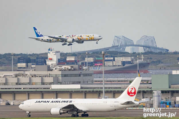 羽田で飛行機～ポケモン イーブイジェット