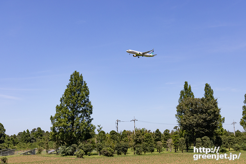 成田で飛行機～ひと際大きな木と木の間に