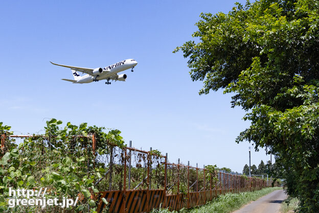 成田で飛行機～木陰越しにフィンのA350