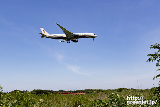 成田で飛行機～A350に美しくハイライト