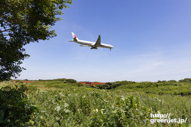 成田で飛行機～大木の向こうからB777