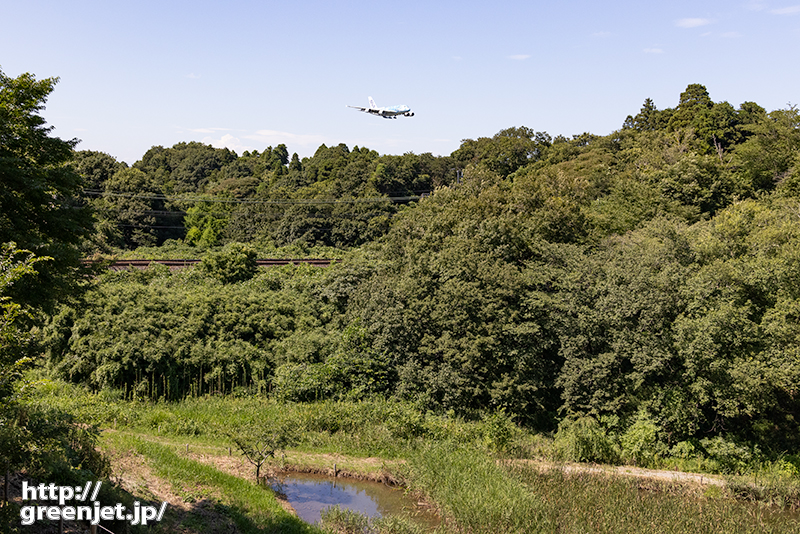 成田で飛行機～池と森とホヌ
