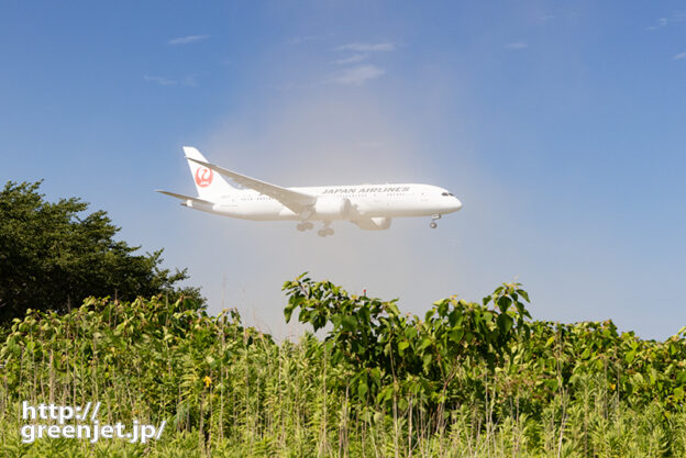 成田で飛行機～つむじ風を切り裂くB787