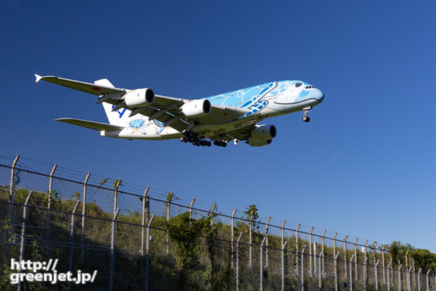 成田で飛行機～ホヌ1号機が美しかった件