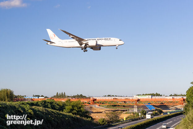 成田で飛行機～JAL B78が赤い誘導灯に絡む