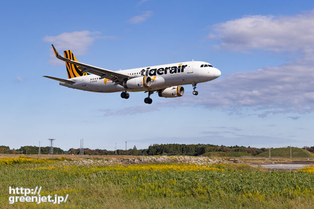 【茨城の飛行機撮影ポイント】北門前