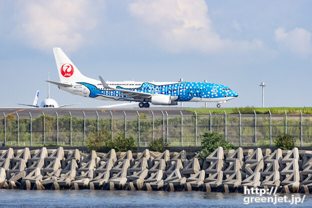 羽田で飛行機～海越しにジンベエジェット