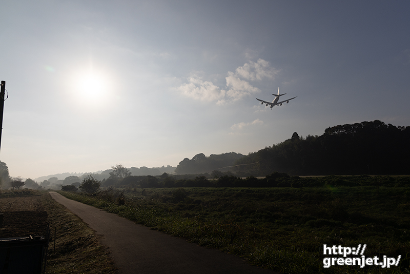 成田で飛行機～濃霧の朝とジャンボ