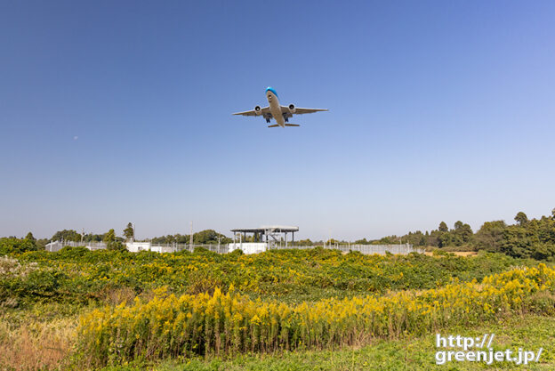 成田で飛行機～秋の荒野にKLM B777