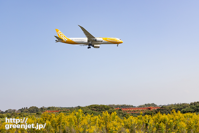 成田で飛行機～黄色い原っぱに黄色い飛行機