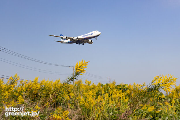 成田で飛行機～NCAジャンボここに飛込む