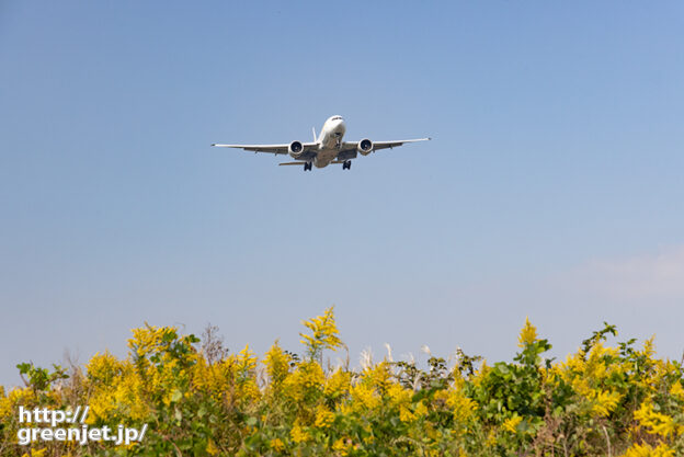 成田で飛行機～黄色い原っぱの上から