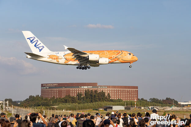 成田で飛行機～さくらの山でホヌ3号機