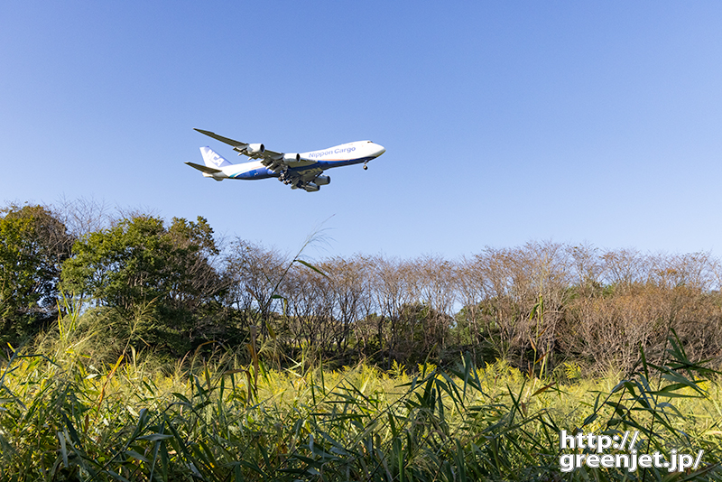 成田で飛行機～笹の葉とNCAジャンボ