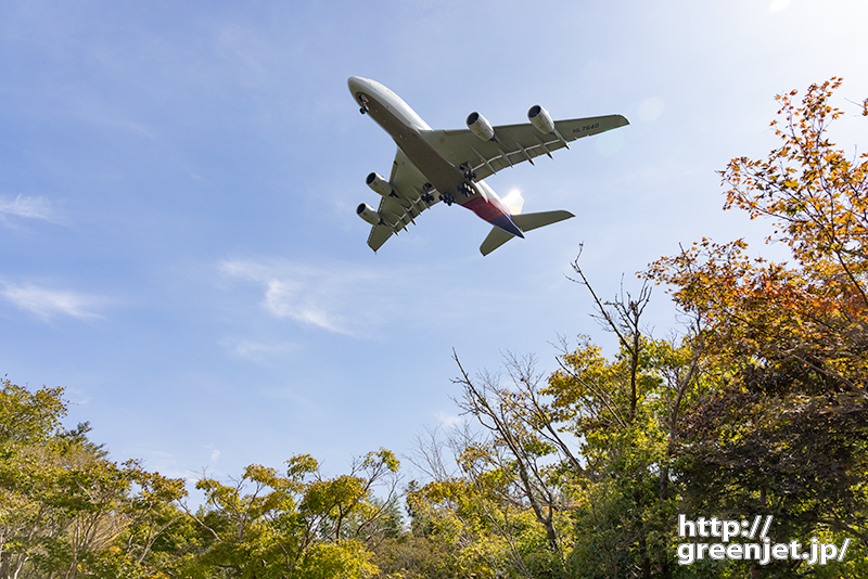 成田で飛行機～ちょっと紅葉そしてA380