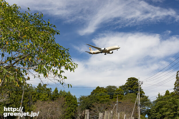 成田で飛行機～青空と雲、緑とエティハド