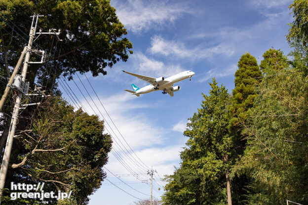成田で飛行機～大木の合間にはまるキャセイ