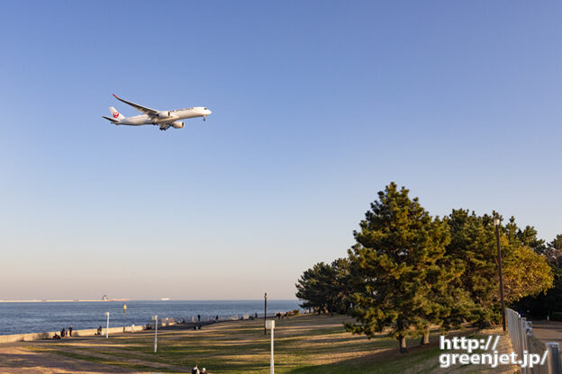 羽田で飛行機～松並木と海を臨みA350