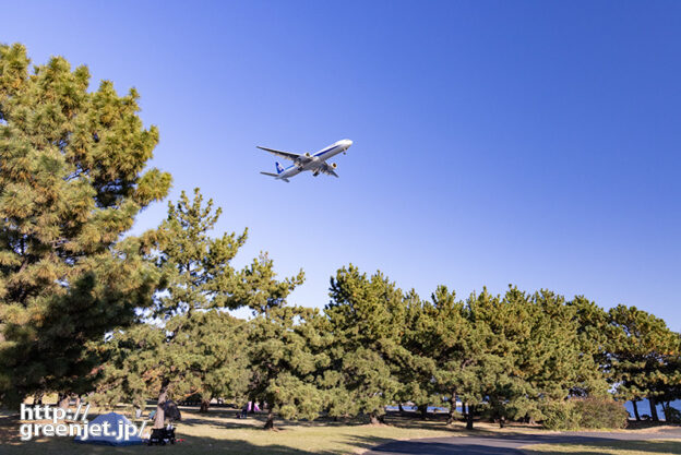 羽田で飛行機～松林の向こうに海！でB77