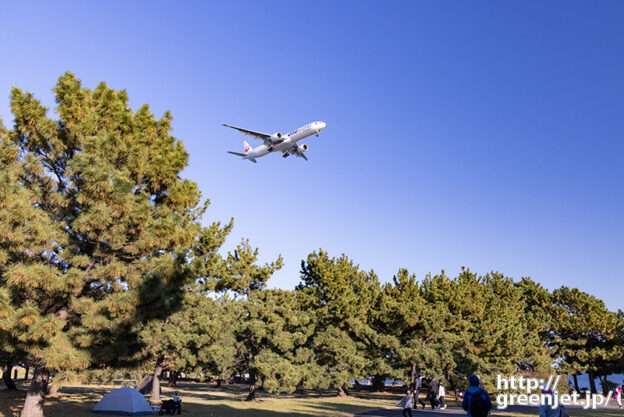 羽田で飛行機～松林とワンワールドB777