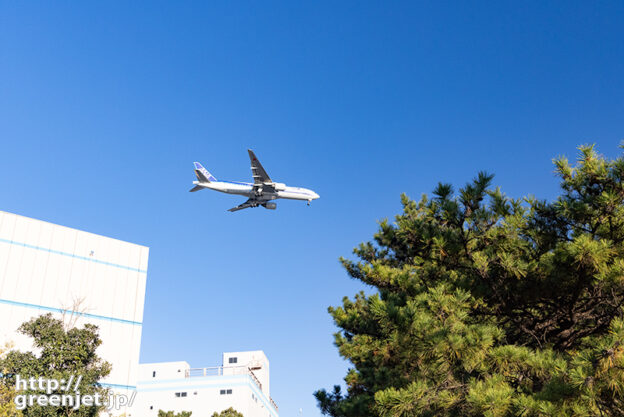 羽田で飛行機～倉庫街で松とB777