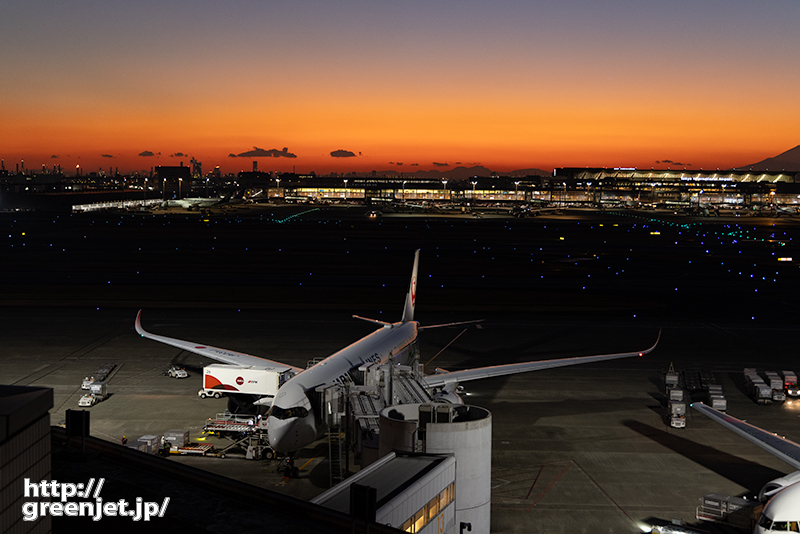 羽田で飛行機～夕景と美しく輝くA350