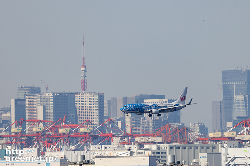羽田で飛行機～東京タワーとジンベエジェット