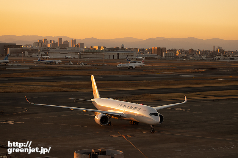 羽田で飛行機～夕方の山の稜線と輝くA350