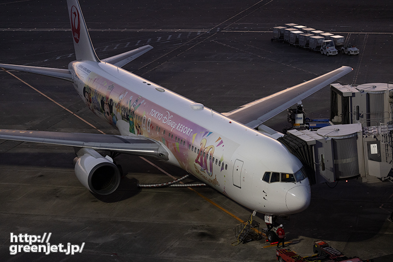 羽田で飛行機～このピンクラインが最高だった