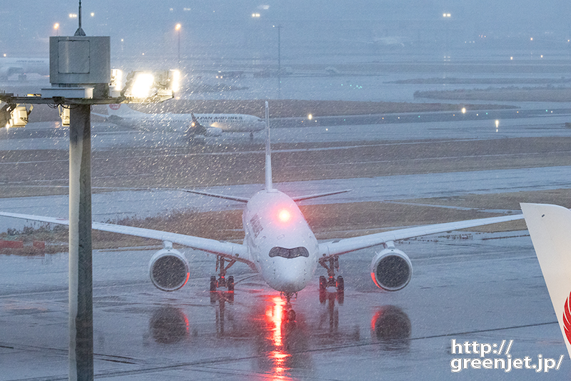 羽田で飛行機～猛吹雪とA350