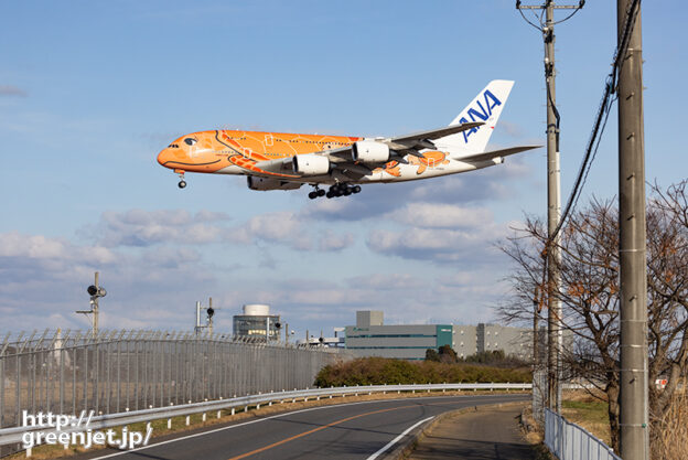 成田で飛行機～オレンジ ホヌが美しかった