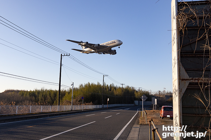 成田で飛行機～最高の朝一！SQ638 A380