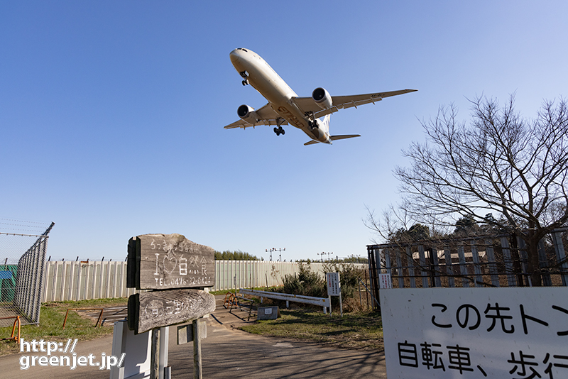 成田で飛行機～I♡自然食にエティハドB8