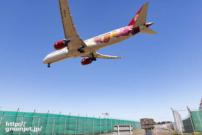 成田で飛行機～绚彩花瓣-特別塗装機