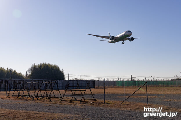 成田で飛行機～斜光のウズベクB787