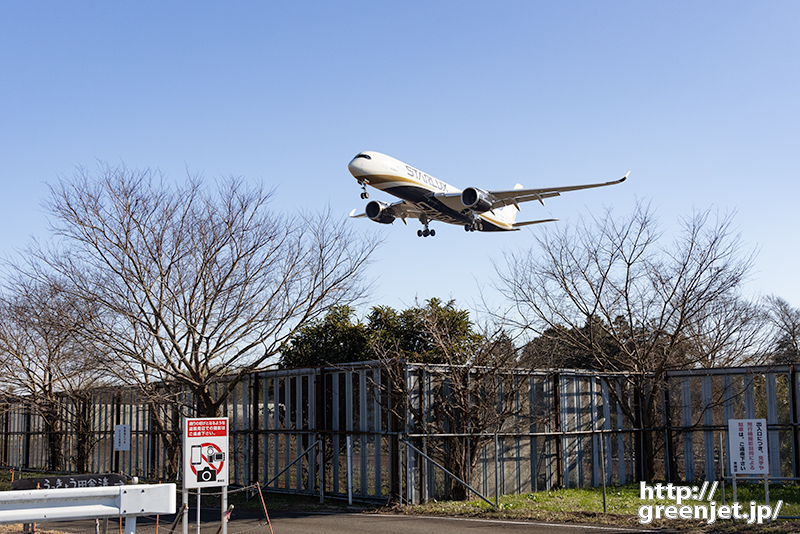 成田で飛行機～気になるSTARLUX A350