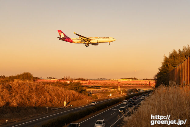 成田で飛行機～紅く染まるハワイアン