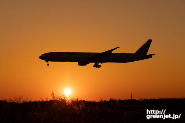 成田で飛行機～夕陽に間に合ったB777