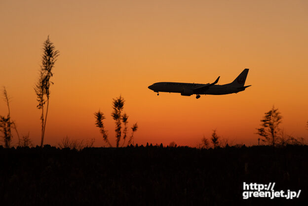 成田で飛行機～夕焼け空と雑草とJAL機